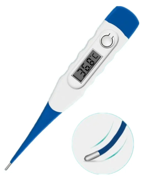 Termometro Digital