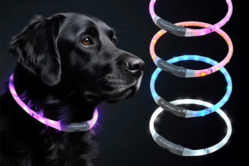 Collar para Mascota de Silicon con Luces LED